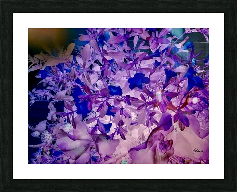Fleurs  Picture Frame print