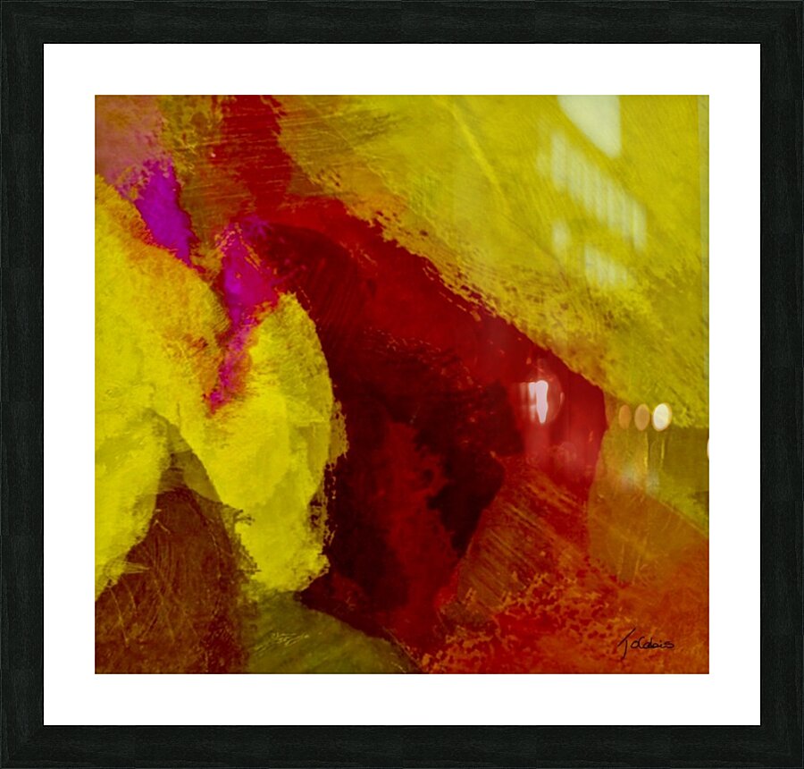 Observation  Picture Frame print