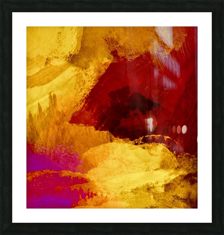 Observation 2 Picture Frame print