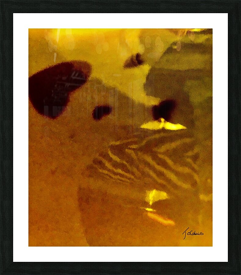  Tirage d’art