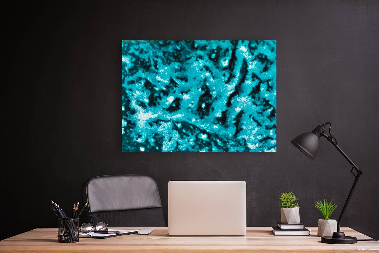 Les ombres noires Reproduction