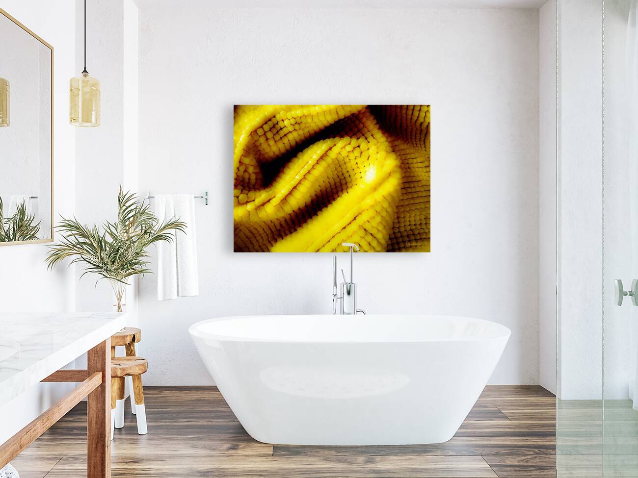 Jaune mais  Reproduction
