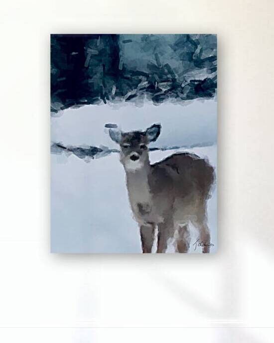 Cerf surpris  by Jolabis 