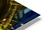 Roitelet  1 HD Metal print