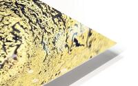  observation  HD Metal print