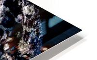 La roche HD Metal print