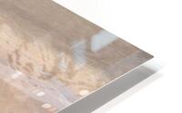 La plage HD Metal print