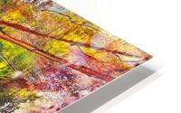 Phenix  HD Metal print