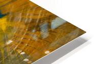Petit roitelet  HD Metal print