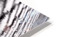Transparence  HD Metal print