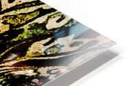 Arabesques 2 HD Metal print