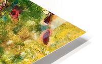 Corail HD Metal print