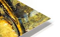 Gravee  HD Metal print