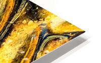 Fossiles  HD Metal print