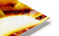 Leurs separations  HD Metal print