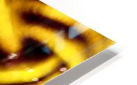 Enlace  HD Metal print