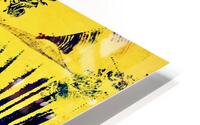 Boomerangs HD Metal print