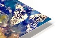 Papillonnage  HD Metal print
