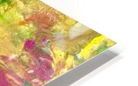 Couleurs d’automne  HD Metal print