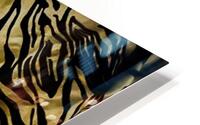 Zebrures III HD Metal print