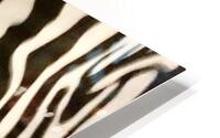 Zebrures VII HD Metal print