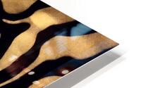 Zebrures VIII HD Metal print