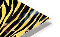 Zebrures IX HD Metal print