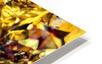 Metallises  HD Metal print
