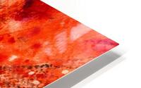 Egratignure  HD Metal print