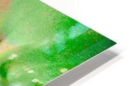 Vert tendre HD Metal print