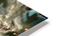 Ombrage  HD Metal print
