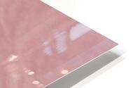 Aurore rose  HD Metal print