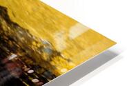 Ruee vers l’or  HD Metal print