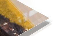 Terre sterile  HD Metal print