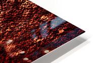 Sinueux  HD Metal print