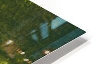 Le semeur  HD Metal print