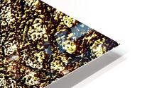 Craquelures  HD Metal print