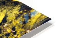 Fossiles Impression metal HD
