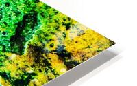 Pierre eponge HD Metal print