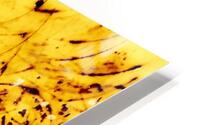 Les ombres  HD Metal print