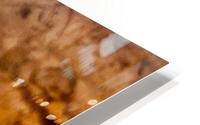 Fossiles  HD Metal print