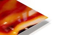 Alveoles  HD Metal print