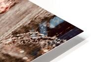 Pelerin  HD Metal print