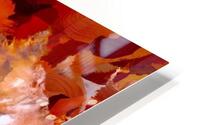 Deux plans d’univers  HD Metal print
