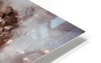 Cerf protege  HD Metal print