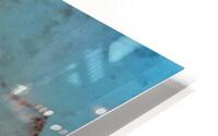 Genetique  HD Metal print