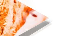 Croissant  HD Metal print