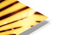 Graphique  HD Metal print