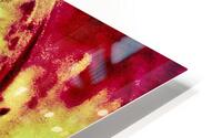 Meandres HD Metal print