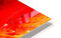 Surexposant  HD Metal print